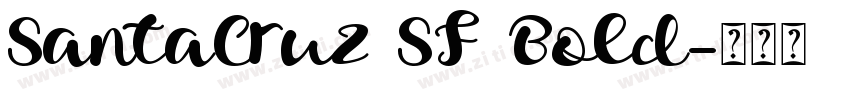 SantaCruz SF Bold字体转换